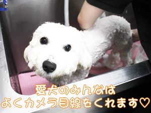 ☆カメラ目線特集☆